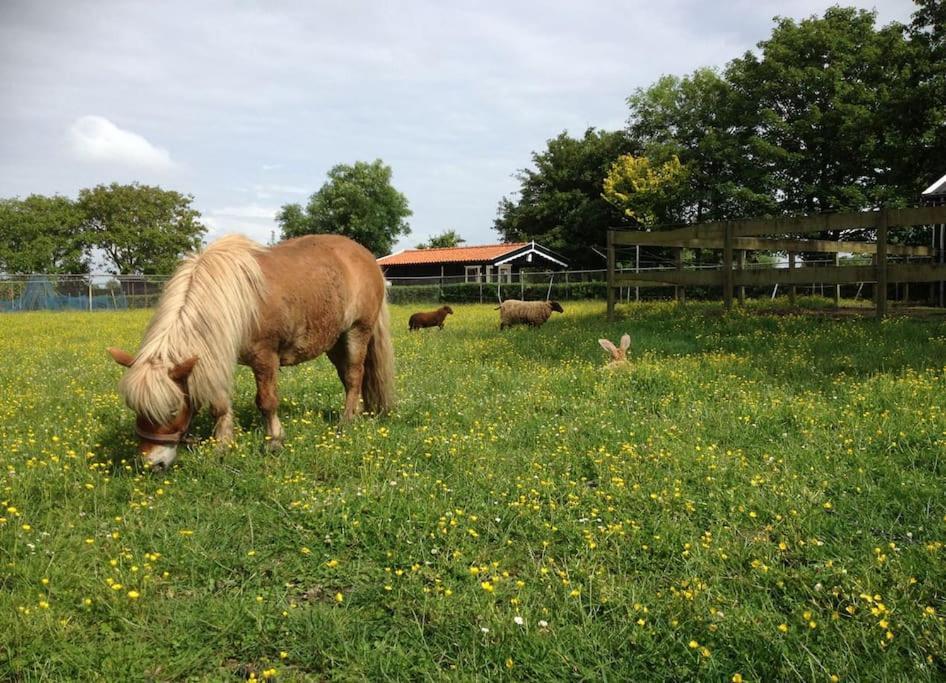 Grijpskerkseweg 3 Achterhuis Oostkapelle Bagian luar foto